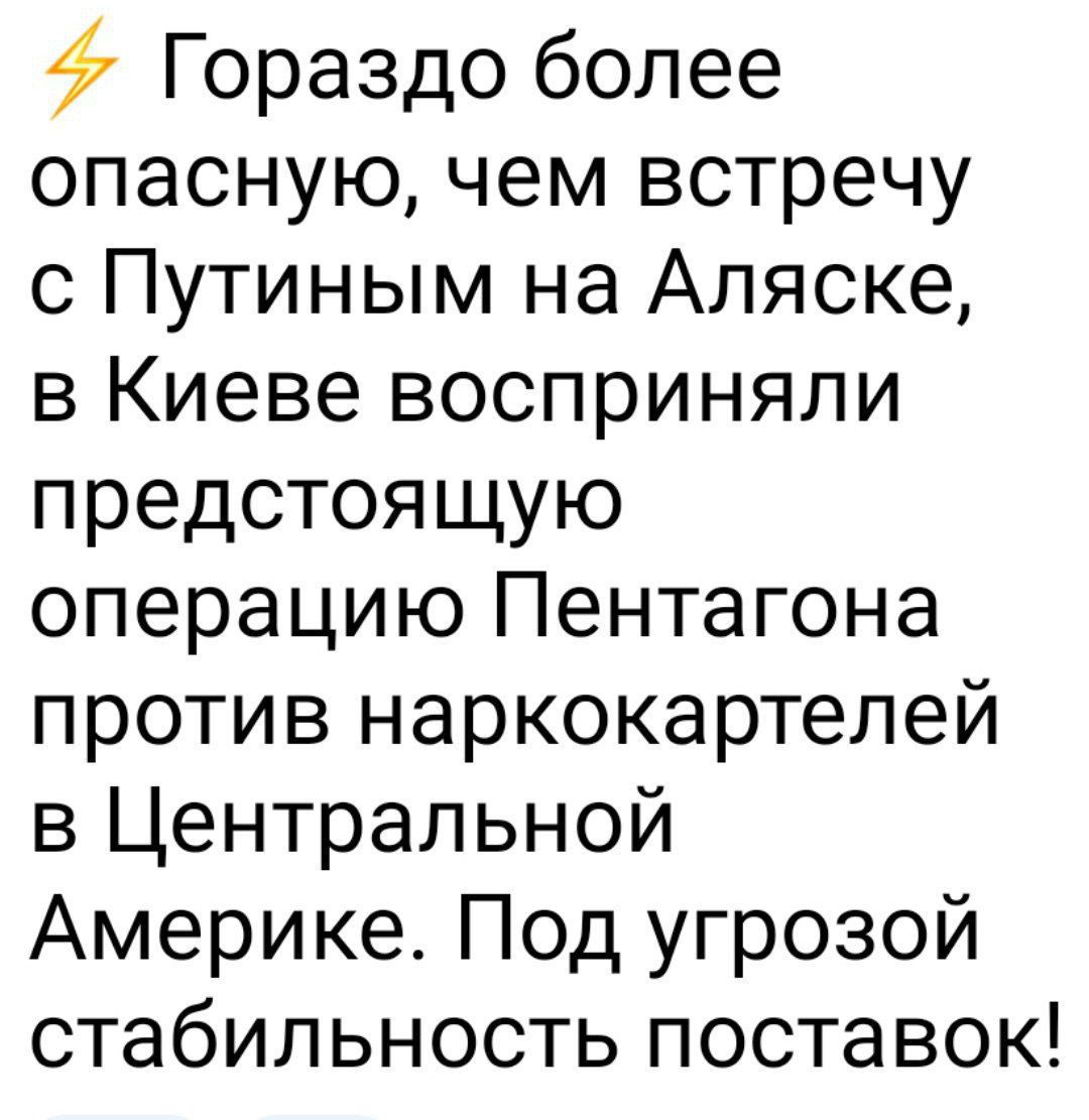 Гораздо более опасную, чем встречу с Путиным на Аляске, в Киеве восприняли предстоящую операцию Пентагона против наркокартелей в Центральной Америке. Под угрозой стабильность поставок!