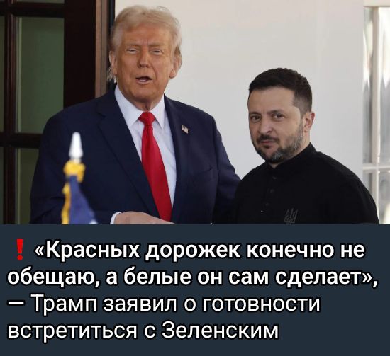 «Красных дорожек конечно не обещаю, а белые он сам сделает», — Трамп заявил о готовности встретиться с Зеленским