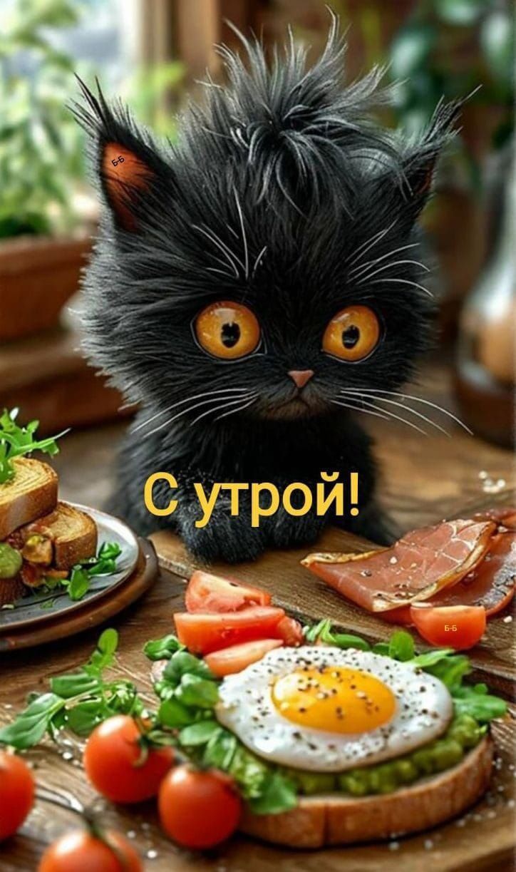 С утром!