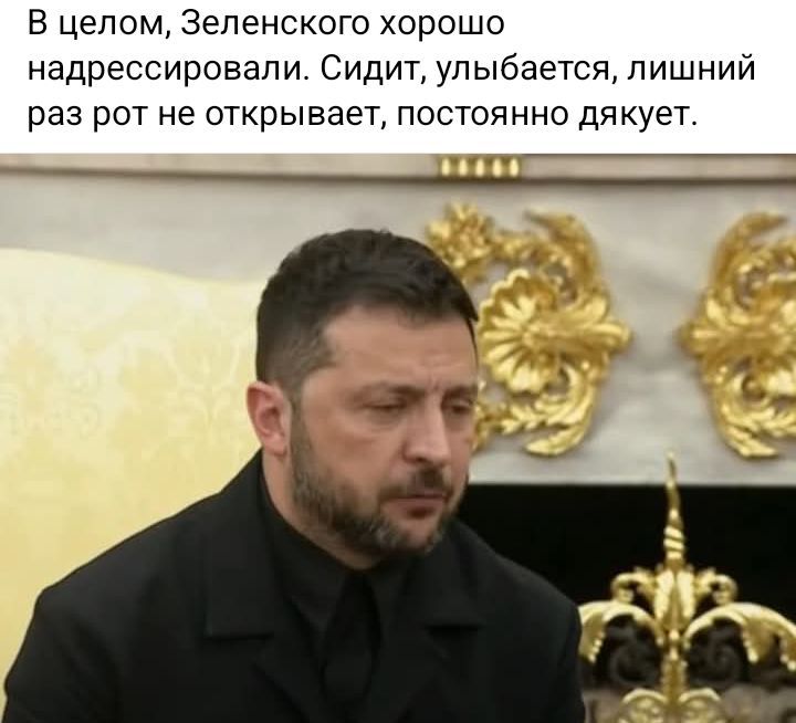 В целом, Зеленского хорошо надрессировали. Сидит, улыбается, лишний раз рот не открывает, постоянно дякует.