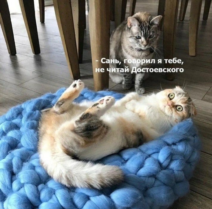 - Сань, говорил я тебе, не читай Достоевского