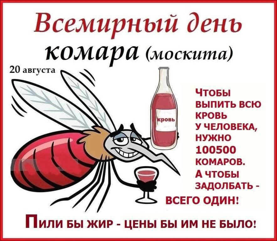 Всемирный день комара (москита) 20 августа. Чтоб выпить всю кровь у человека, нужно 100500 комаров. А чтобы задолбать - всего один! Пили бы жир - цены бы им не было!