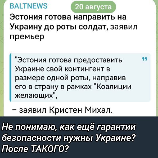 Эстония готова направить на Украину до роты солдат, заявил премьер
