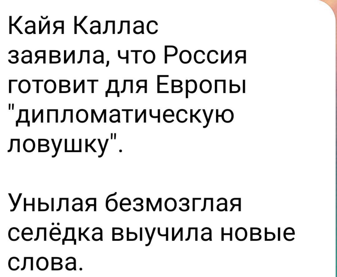 Кая Каллас заявила, что Россия готовит для Европы 