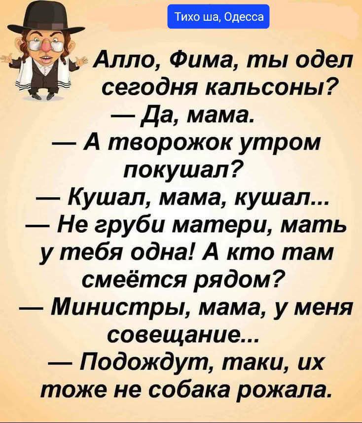 Алло, Фима, ты одел сегодня кальсоны? — Да, мама. — А творожок утром кушал? — Кушал, мама, кушал... — Не груби матери, мать у тебя одна! А кто там смеётся рядом? — Министры, мама, у меня совещание... — Подождут, таки, их тоже не собака рожала.