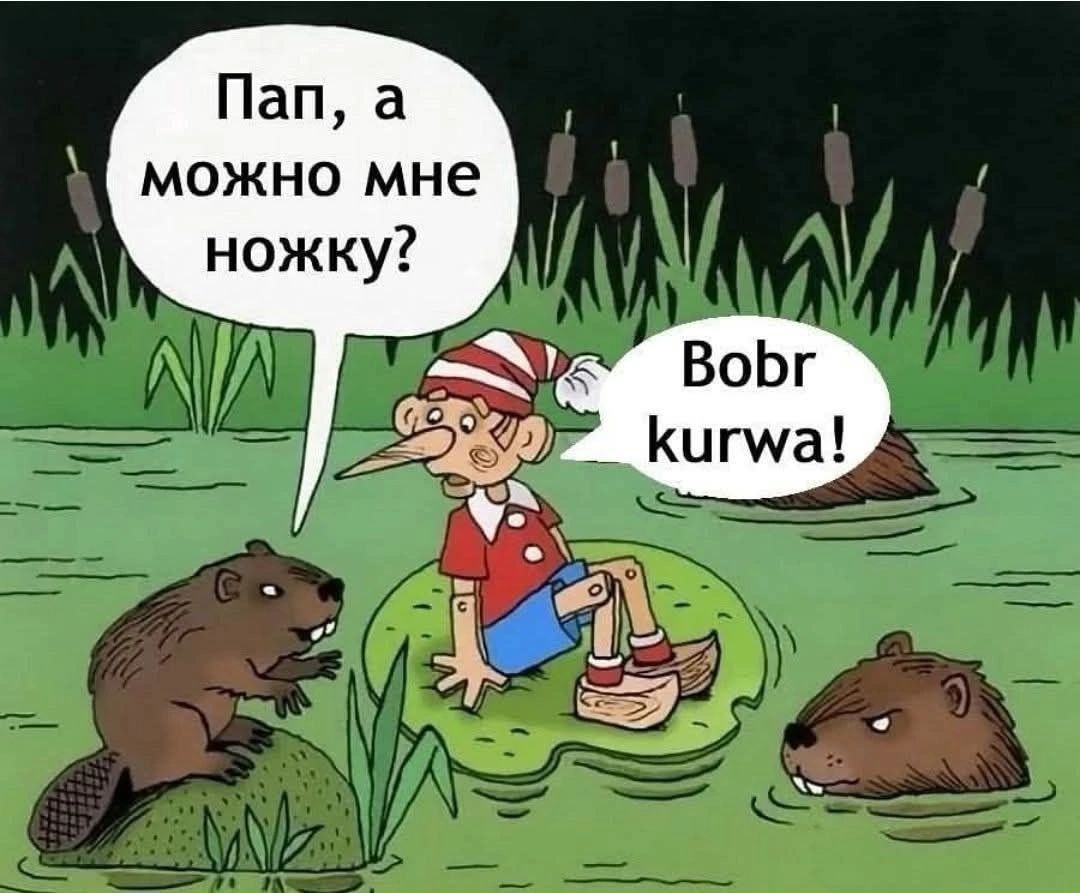 Пап, а можно мне ножку? Bobr kurwa!