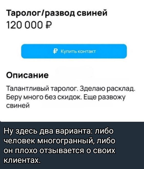 Таролог/развод свиней
120 000 ₽

Описание
Талантливый таролог. Зделаю расклад. Беру много без скидок. Еще развожу свиней

Ну здесь два варианта: либо человек многогранный, либо он плохо отзывается о своих клиентах.