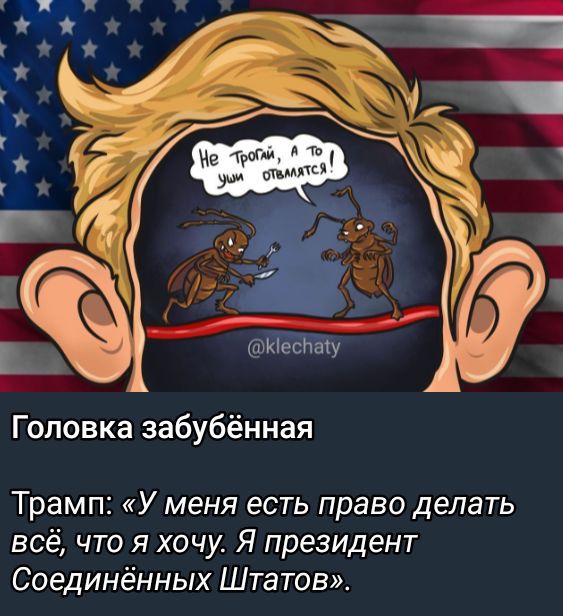 Головка забубённая
Трамп: «У меня есть право делать всё, что я хочу. Я президент Соединённых Штатов».