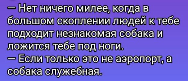 — Нет ничего милее, когда в большом скоплении людей к тебе подходит незнакомая собака и ложится тебе под ноги.
— Если только это не аэропорт, а собака служебная.