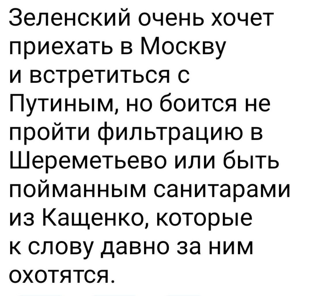 Зеленский очень хочет приехать в Москву и встретиться с Путиным, но боится не пройти фильтрацию в Шереметьево или быть пойманным санитаром из Кащенко, которые к слову давно за ним охотятся.
