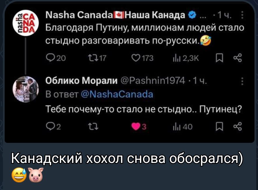 Благодарю Путину, миллионам людей стало стыдно разговаривать по-русски.
Тебе почему-то стало не стыдно.. Путинице?
Канадский хохол снова обосрался)