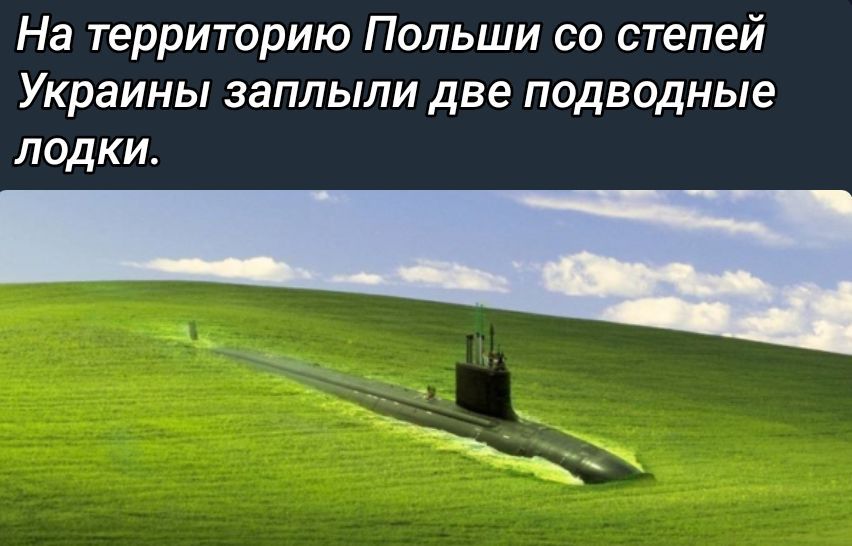 На территорию Польши со степей Украины заплыли две подводные лодки.