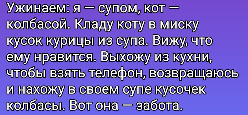 Ужинаем: я — супом, кот — колбасой. Кладу коту в миску кусок курицы из супа. Вижу, что ему нравится. Выхожу из кухни, чтобы взять телефон, возвращаюсь и нахожу в своем супе кусочек колбасы. Вот она — забота.