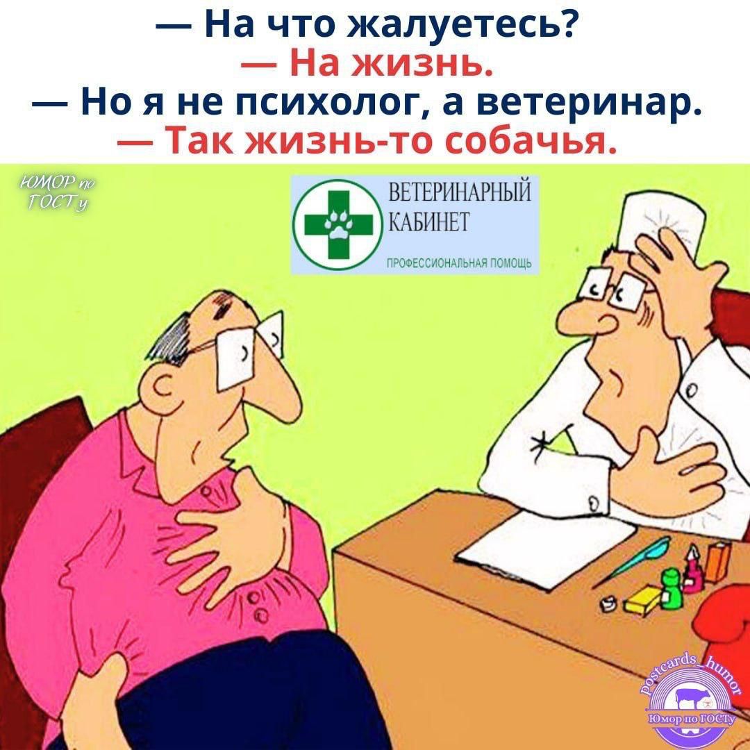 — На что жалуетесь?  — На жизнь.  — Но я не психолог, а ветеринар.  — Так жизнь-то собачья.