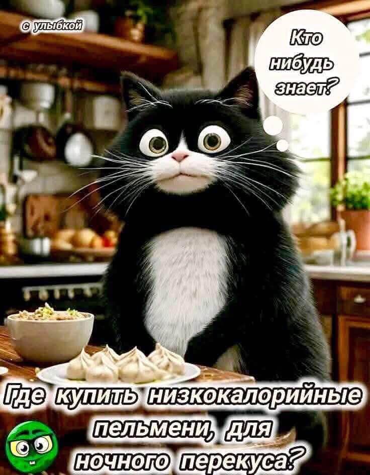 Где купить низкокалорийные пельмени, для ночного перекуса?