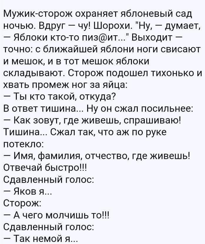 Мужик-сторож охраняет яблоневый сад ночью. Вдруг – чу! Шорохи. 