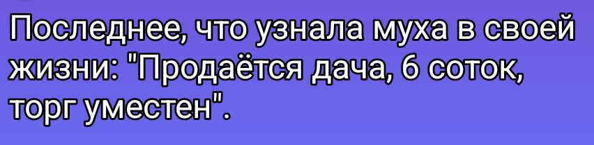 Последнее, что узнала муха в своей жизни: 