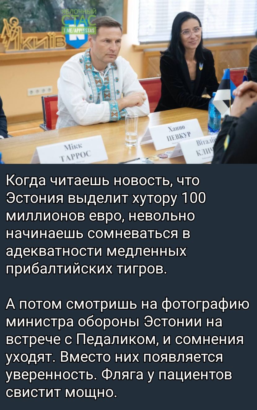 Когда читаешь новость, что Эстония выделит хектару 100 миллионов евро, невольно начинаешь сомневаться в адекватности медленных прибалтийских тигров.

А потом смотришь на фотографию министра обороны Эстонии на встрече с ПедалиКом, и сомнения уходят. Вместо них появляется уверенность. Флага у пациентов свистит мощно.