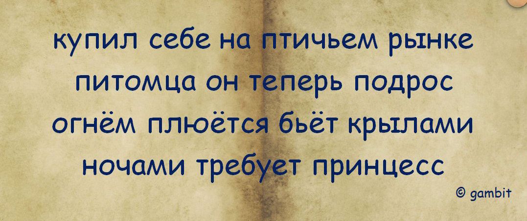 купил себе на птичьем рынке питомца он теперь подрос огнём пьюется бьёт крыльями ночами требует принцесс