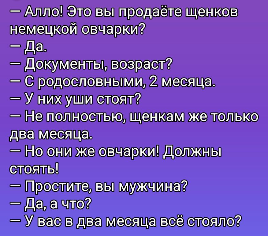 — Алло! Это вы продаёте щенков немецкой овчарки?  
— Да.  
— Документы, возраст?  
— С родословными, 2 месяца.  
— У них уши стоят?  
— Не полностью, щенкам же только два месяца.  
— Но они же овчарки! Должны стоять!  
— Простите, вы мужчина?  
— Да, а что?  
— У вас в два месяца всё стояло?