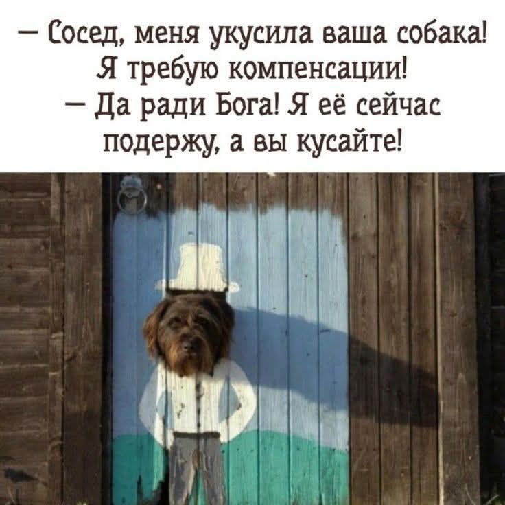 — Сосед, меня укусила ваша собака! Я требую компенсации!
— Да ради Бога! Я её сейчас поддержу, а вы кусайте!