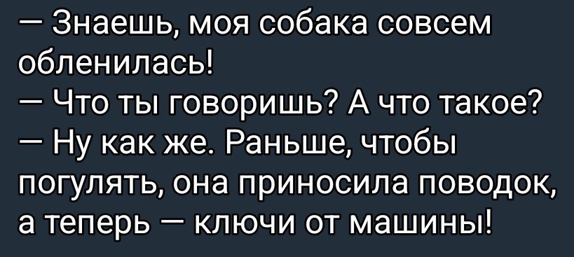 — Знаешь, моя собака совсем обленилась! — Что ты говоришь? А что такое? — Ну как же. Раньше, чтобы погулять, она приносила поводок, а теперь — ключи от машины!