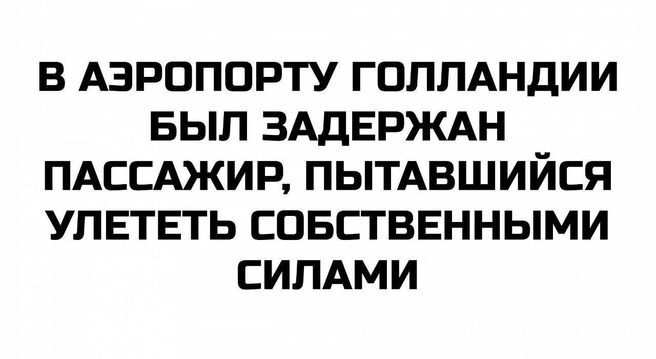 В АЭРОПОРТУ ГОЛЛАНДИИ БЫЛ ЗАДЕРЖАН ПАССАЖИР, ПЫТАВШИЙСЯ УЛЕТЕТЬ СОБСТВЕННЫМИ СИЛАМИ
