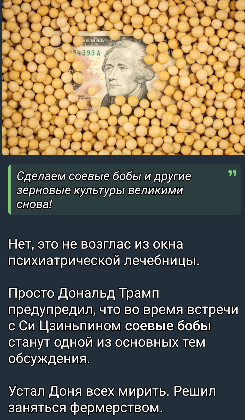 Сделаем соевые бобы и другие зерновые культуры великими снова!
Нет, это не возглас из окна психиатрической лечебницы.
Просто Дональд Трамп предупредил, что во время встречи с Си Цзиньпином соевые бобы станут одной из основных тем обсуждения.
Устал Дона всех мирить. Решил заняться фермерством.