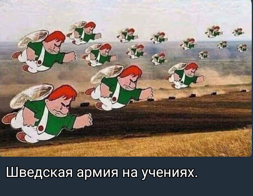 Шведская армия на учениях.