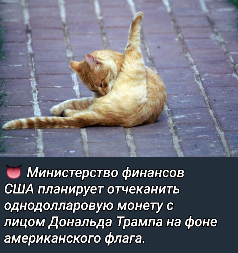 Министерство финансов США планирует отчекивать однодолларовую монету с лицом Дональда Трампа на фоне американского флага.