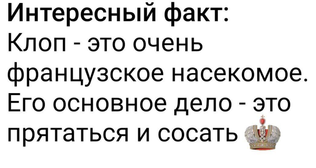 Интересный факт:
Клоп - это очень французское насекомое.