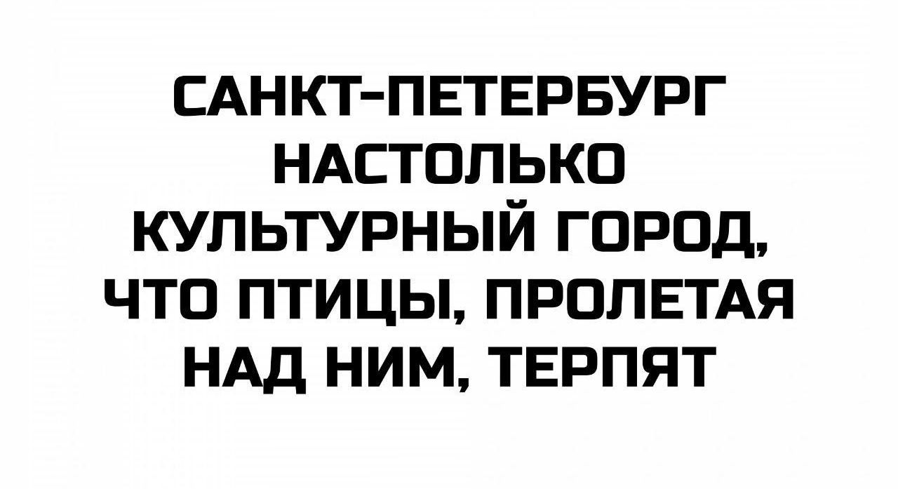 САНКТ-ПЕТЕРБУРГ НАСТОЛЬКО КУЛЬТУРНЫЙ ГОРОД, ЧТО ПТИЦЫ, ПРолетая НАД НИМ, ТЕРПЯТ