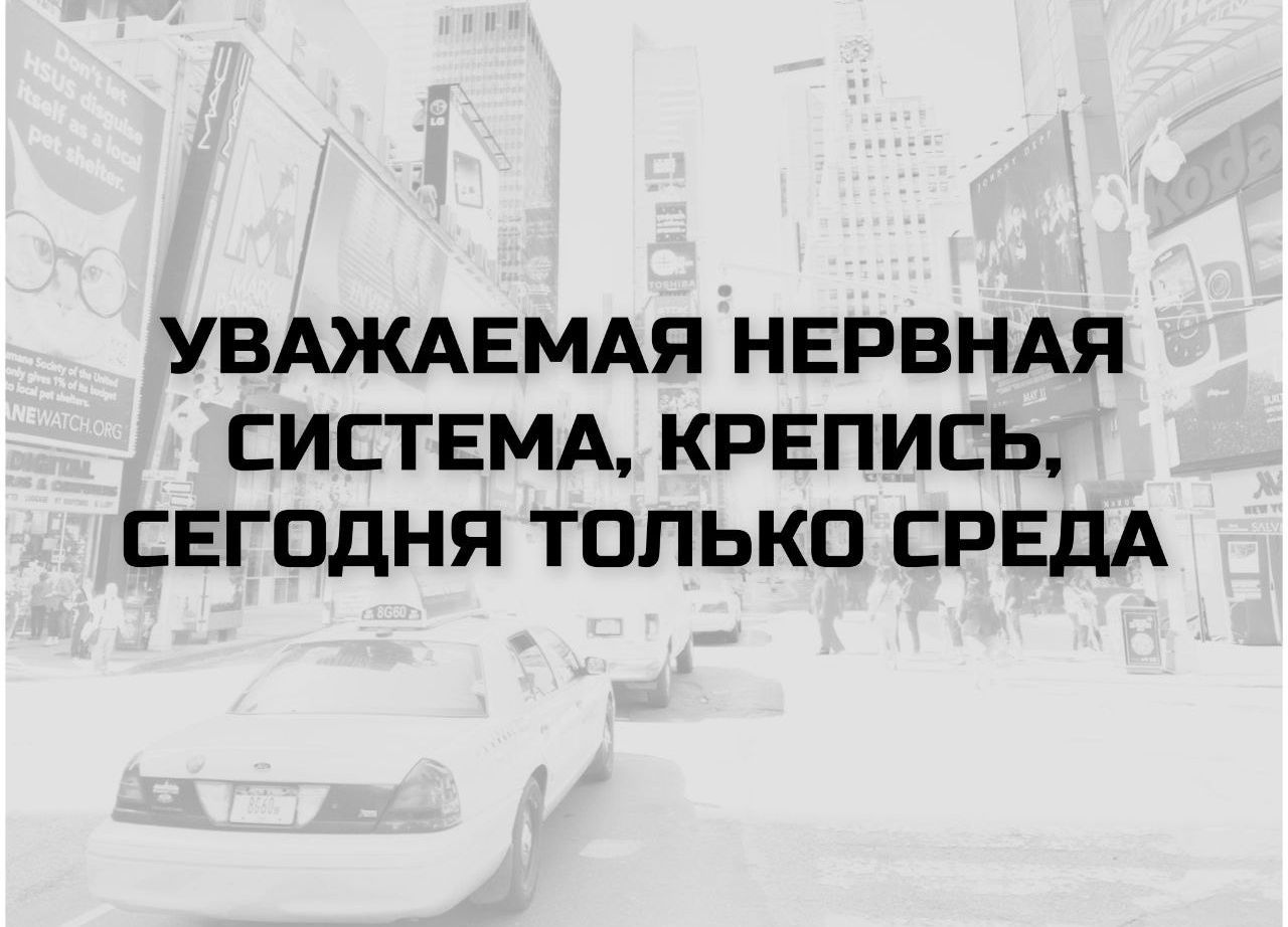 УВАЖАЕМАЯ НЕРВНАЯ СИСТЕМА, КРЕПИСЬ, СЕГОДНЯ ТОЛЬКО СРЕДА