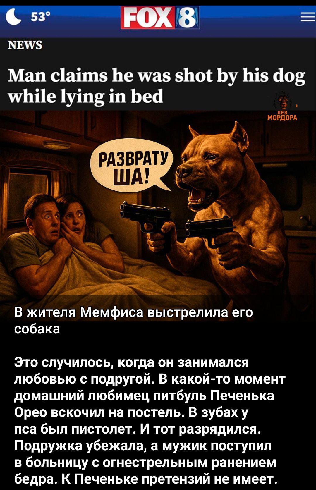 Man claims he was shot by his dog while lying in bed
В жителя Мемфиса выстрелила его собака
Это случилось, когда он занимался любовью с подругой. В какой-то момент домашний любимец питбуль Печенька Орэо вскочил на постель. В зубах у пса был пистолет. И тот разрядился. Подруга убежала, а мужик поступил в больницу с огнестрельным ранением бедра. К Печеньке претензий не имеет.