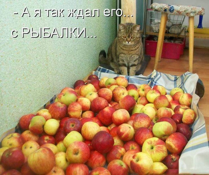 - А, Я так ждал его... с РЫБАЛКИ...