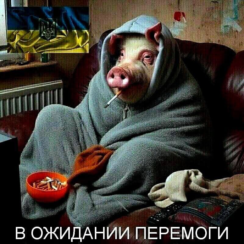 В ОЖИДАНИИ ПЕРЕМОГИ