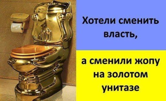 Хотели сменить власть, а сменили жопу на золотом унитазе
