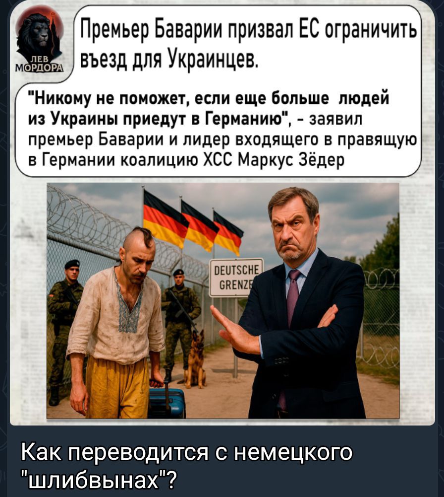 Премьер Баварии призвал ЕС ограничить въезд для Украинцев. «Никому не поможет, если еще больше людей из Украины прибудет в Германию», - заявил премьер Баварии и лидер входящего в правящую в Германии коалицию ХСС Маркус Зедер. Как переводится с немецкого 'шлибьнах'?