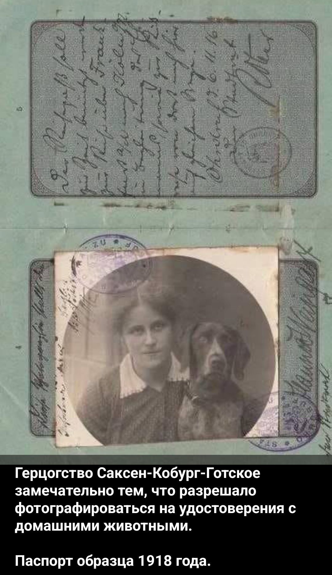 Герцогство Саксен-Кобург-Готское замечательно тем, что разрешало фотографироваться на удостоверения с домашними животными. Паспорт образца 1918 года.