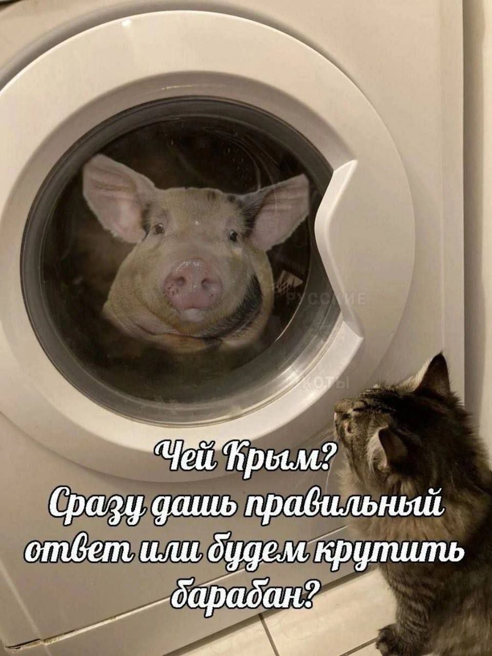 Чей Крым? Сразу дашь правильный ответ или будем крутить барабан?