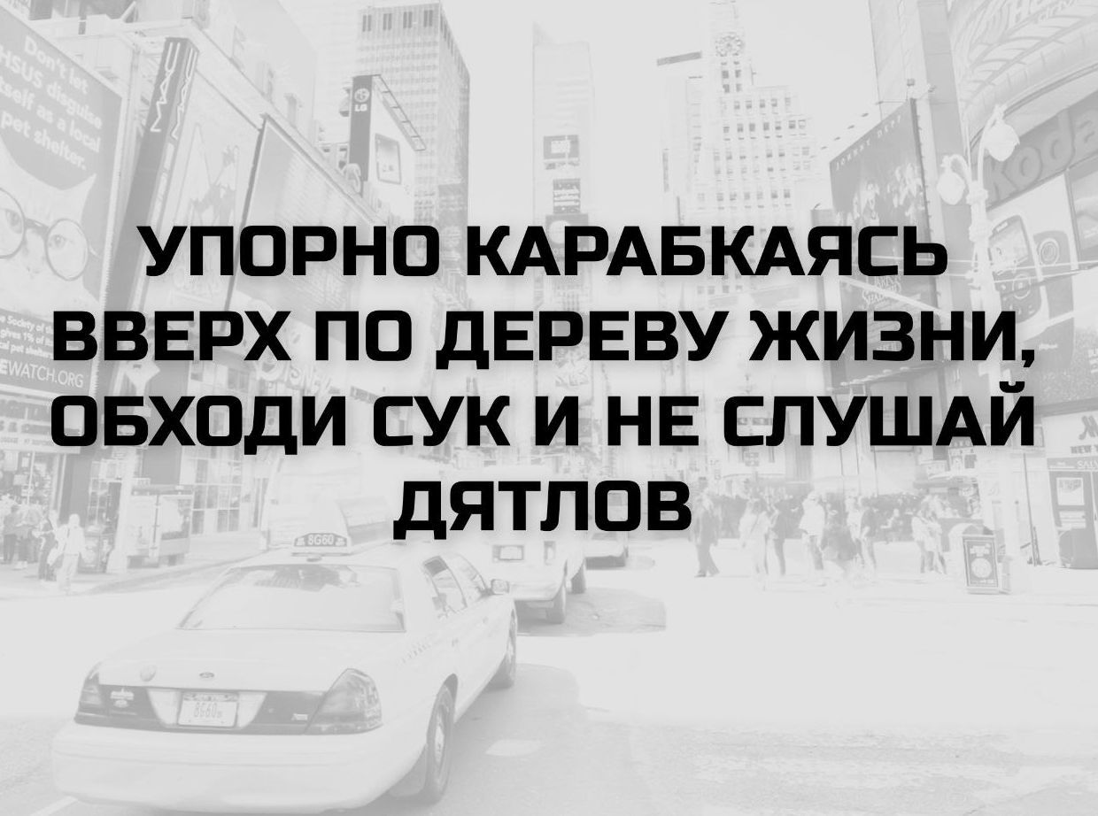 УПОРНО КАРАБКАЯСЬ ВВЕРХ ПО ДЕРЕВУ ЖИЗНИ, ОБХОДИ СУК И НЕ СЛУШАЙ ДЯТЛОВ