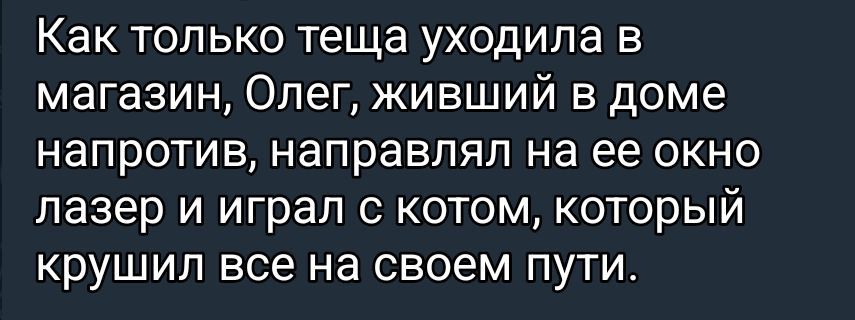 Как только теща уходила в магазин, Олег, живущий в доме напротив, направлял на ее окно лазер и играл с котом, который крушил все на своем пути.