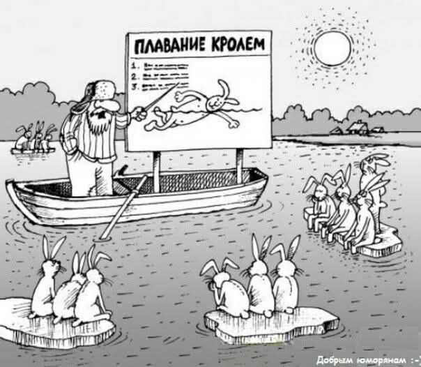 ПЛАВАНИЕ КРОЛЕМ