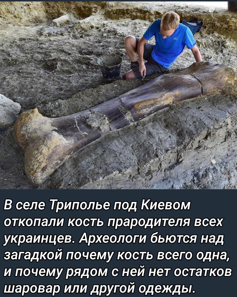 В селе Триполье под Киевом откопали кость прародителя всех украинцев. Археологи бюются над загадкой почему кость всего одна, и почему рядом с ней нет остатков шаровар или другой одежды.