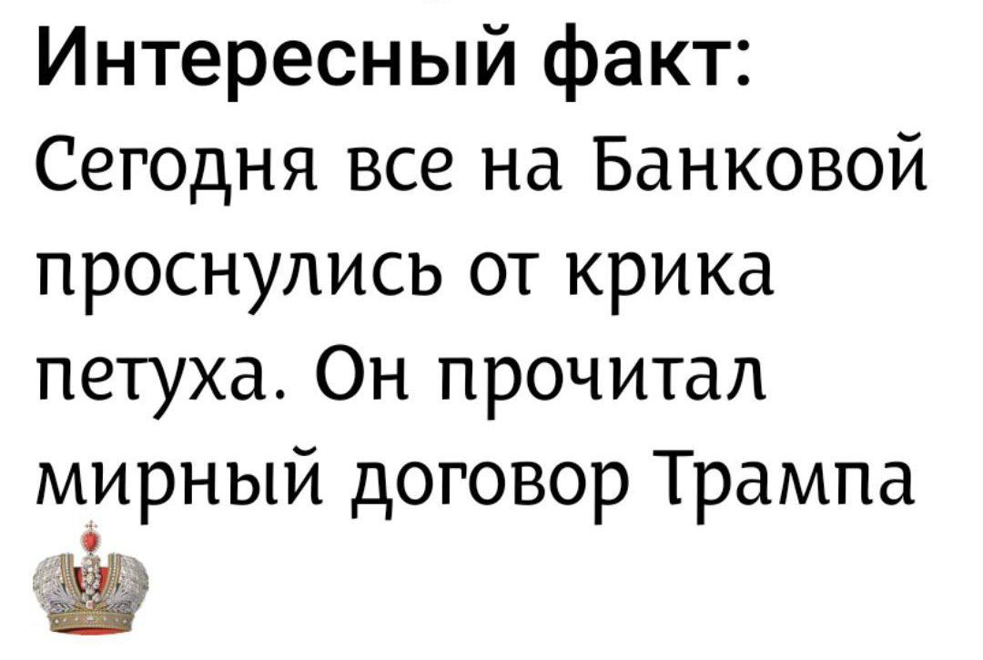 Интересный факт: Сегодня все на Банковой проснулись от крика петуха. Он прочитал мирный договор Трампа
