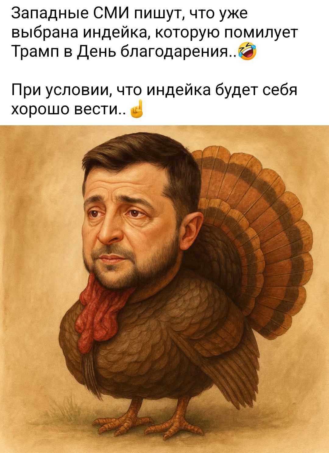 Западные СМИ пишут, что уже выбрана индейка, которую помилует Трамп в День благодарения.. При условии, что индейка будет себя хорошо вести..