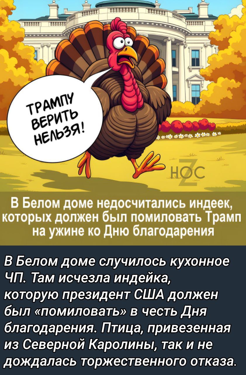 Трамп верить нельзя! В Белом доме недосчитались индеек, которых должен был помиловать Трамп на ужине ко Дню благодарения. В Белом доме случилось кухонное ЧП: исчезла индейка, которую должен был помиловать президент США.