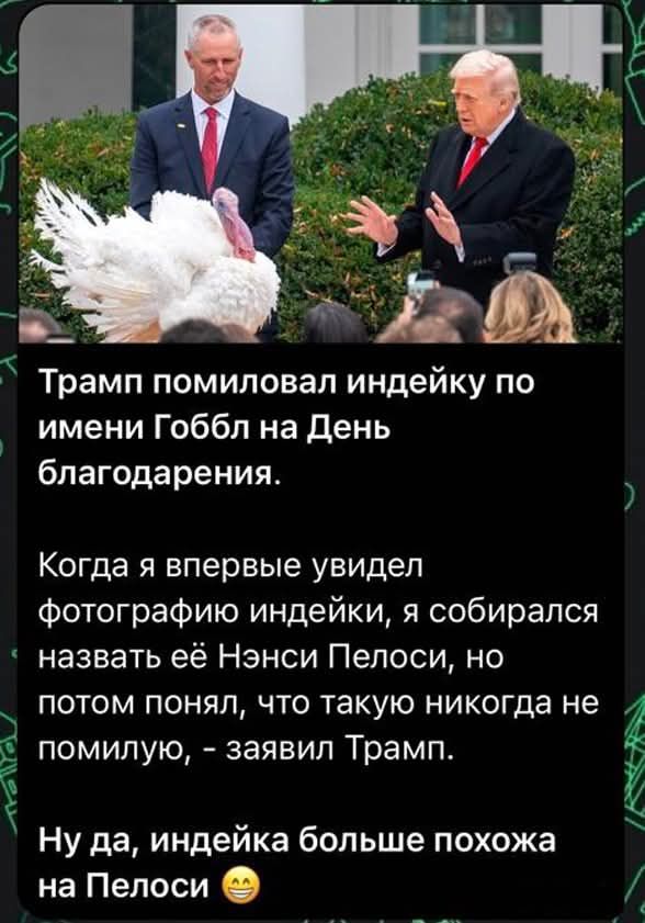 Трамп помиловал индейку по имени Гоббл на День благодарения. Когда я впервые увидел фотографию индейки, я собирался назвать её Нэнси Пелоси, но потом понял, что такую никогда не помилую, - заявил Трамп. Ну да, индейка больше похожа на Пелоси 😁