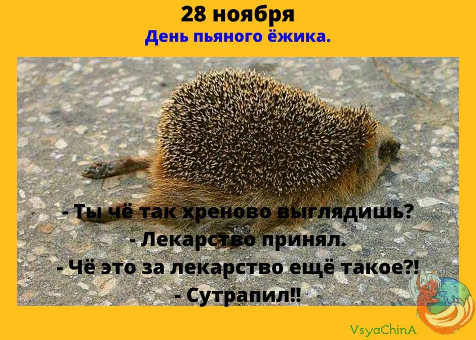 28 ноября День пьяного ёжика. - Ты чё так хреново выглядиш? Лекарство принял. - Чё это за лекарство ещё такое?! - Сутрапил!!