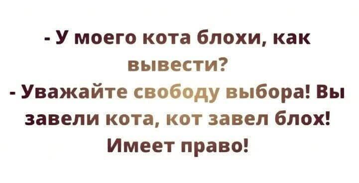 - У моего кота блохи, как вывести?
- Уважайте свободу выбора! Вы завели кота, кот завел блох! Имеет право!